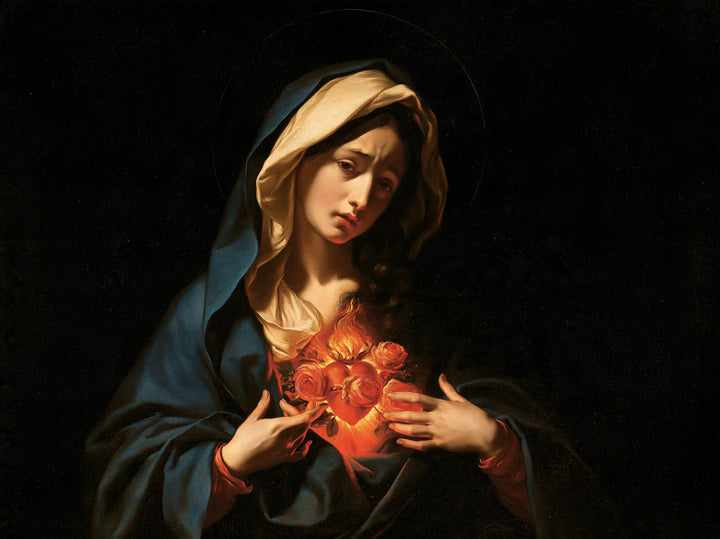 The Immaculate Heart of Mary — Burning Roses Beneath the Inclined Gaze