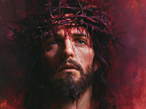 Jesus crowned with thorns with hidden glory in suffering in Hidden Glory in Suffering style, landscape Christian artwork no. 3