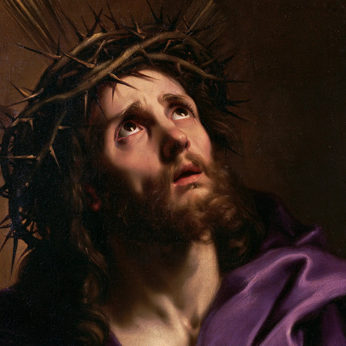 Jesus Crowned with Thorns — The Breath beneath Inclined Brambles