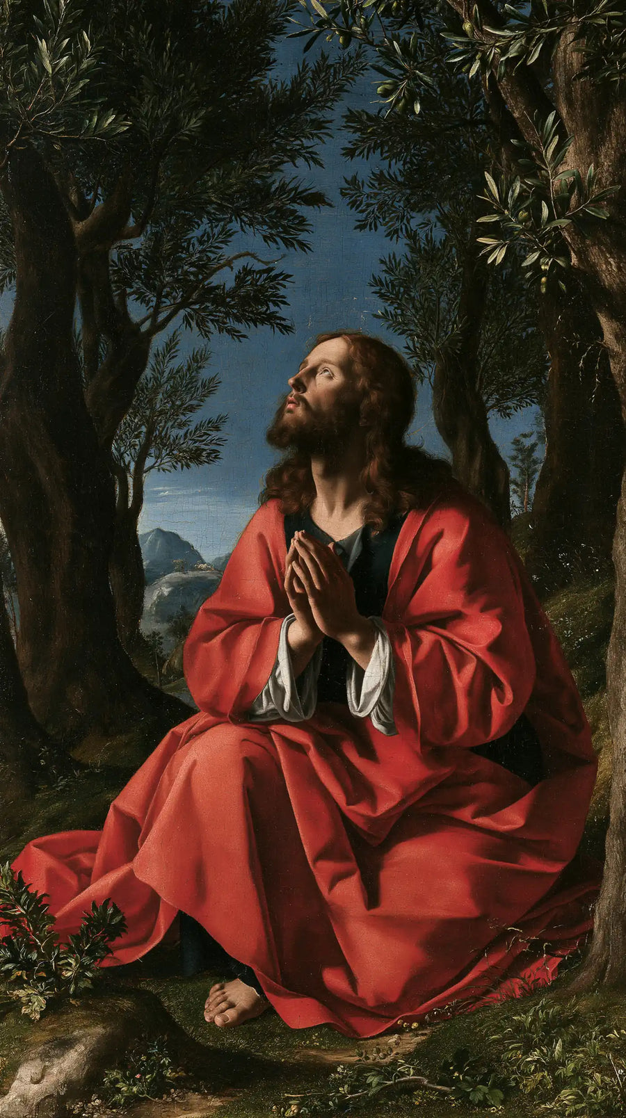 Jesus in Gethsemane - Florentine Renaissance · Portrait n° 6