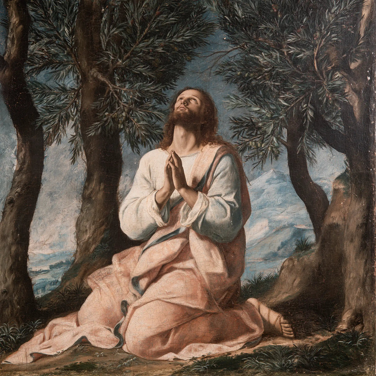 Jesus in Gethsemane — Rose Folds beneath a Silver Sky